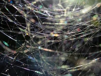 Paliscope: Why we believe it's important to integrate tools 