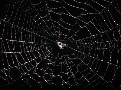 StormCrawler demonstrates the power of open source