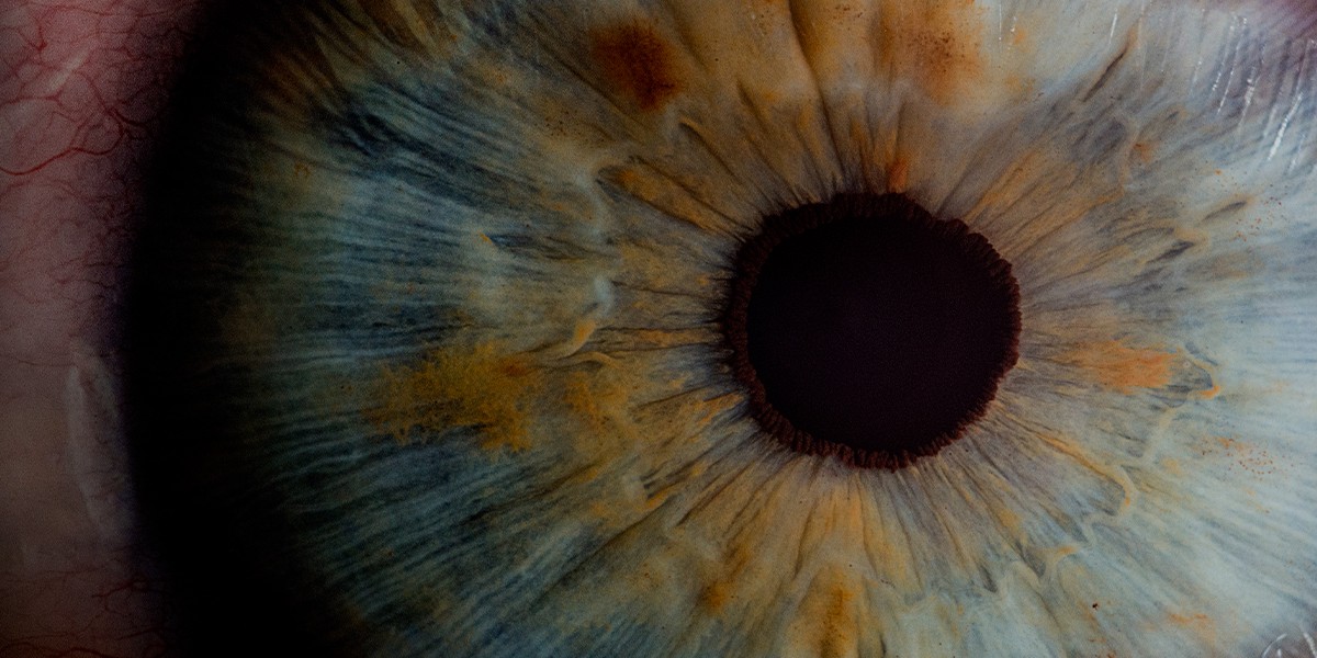 Reflecting on 2023 at CameraForensics 